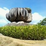 Os melhores parques e museus para crianças no ES