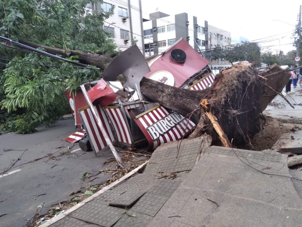 Árvore cai no Bairro Jardim da Penha e Destrói Food Truck