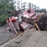 Árvore cai no Bairro Jardim da Penha e Destrói Food Truck